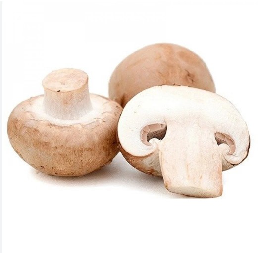 Double mushroom