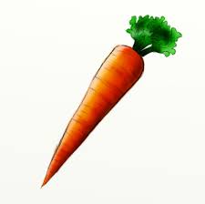 Carrots